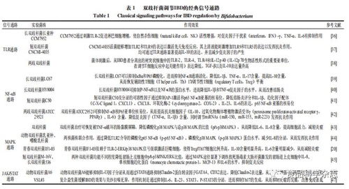 雙歧桿菌及其制劑在炎癥性腸病治療中的機制研究進展——基于東北農業大學孟祥晨教授團隊的研究視角